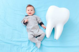 cronologia-de-la-erupcio-dental-clinica-dental-gran-via-alicante-dentista-alicante-clinica-dental-alicante-2