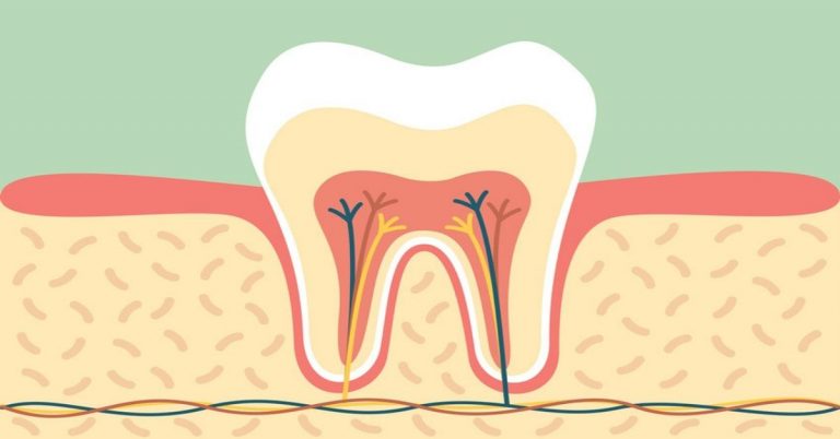 tejidos-dentales-clinica-dental-gran-via-alicante-dentista-alicante-clinica-dental-alicante-