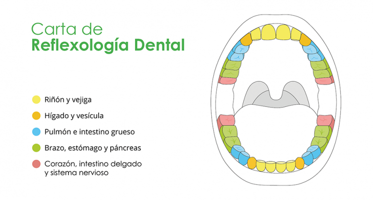 reflexología-dental-alicante-clinica-dental-gran-via-alicante-dentista-alicante-3