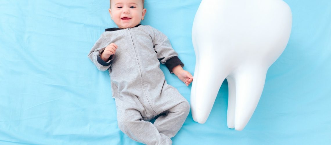cronologia-de-la-erupcio-dental-clinica-dental-gran-via-alicante-dentista-alicante-clinica-dental-alicante-2