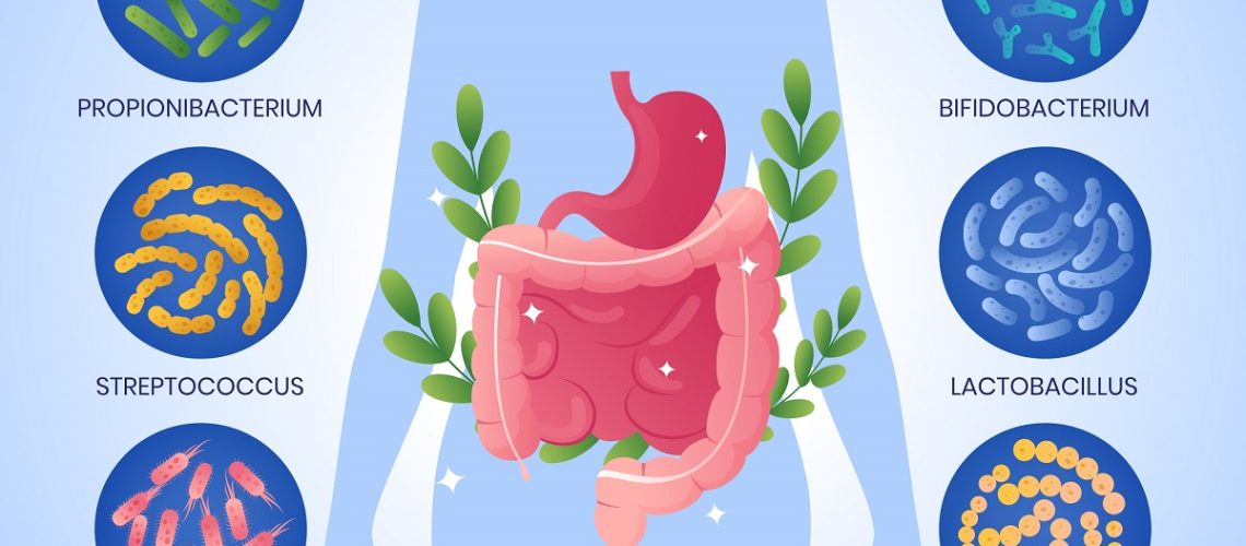 disbiosis-intestinal-clinica-dental-gran-via-alicante-dentista-alicante-clinica-dental-alicante (1)