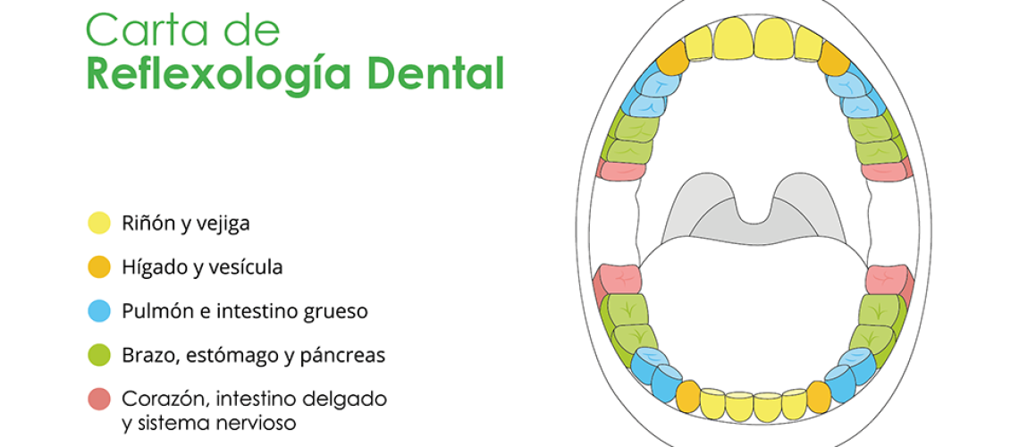 reflexología-dental-alicante-clinica-dental-gran-via-alicante-dentista-alicante-3